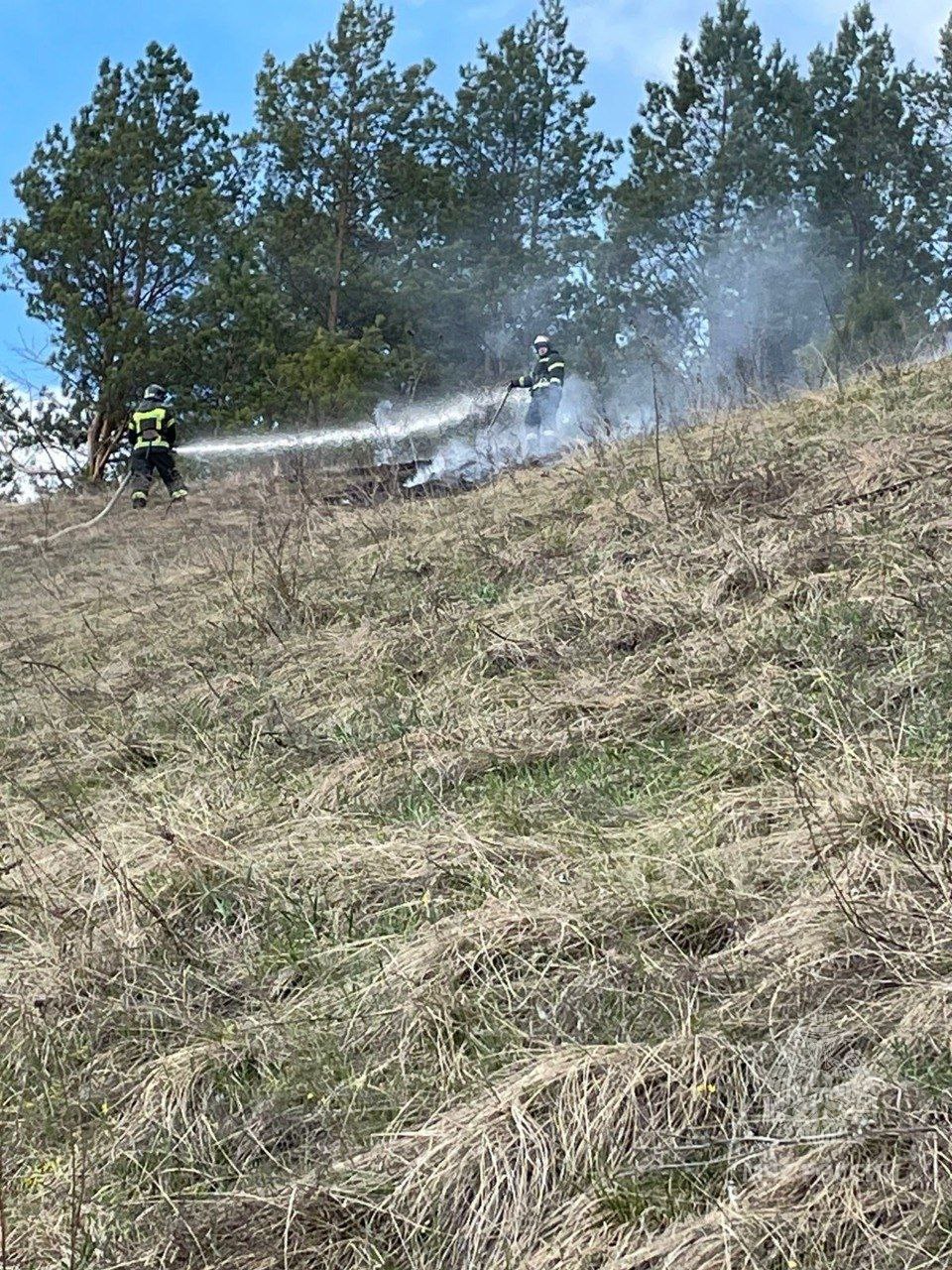 За сутки в Пензенской области произошло более 40 пожаров сухой травы
