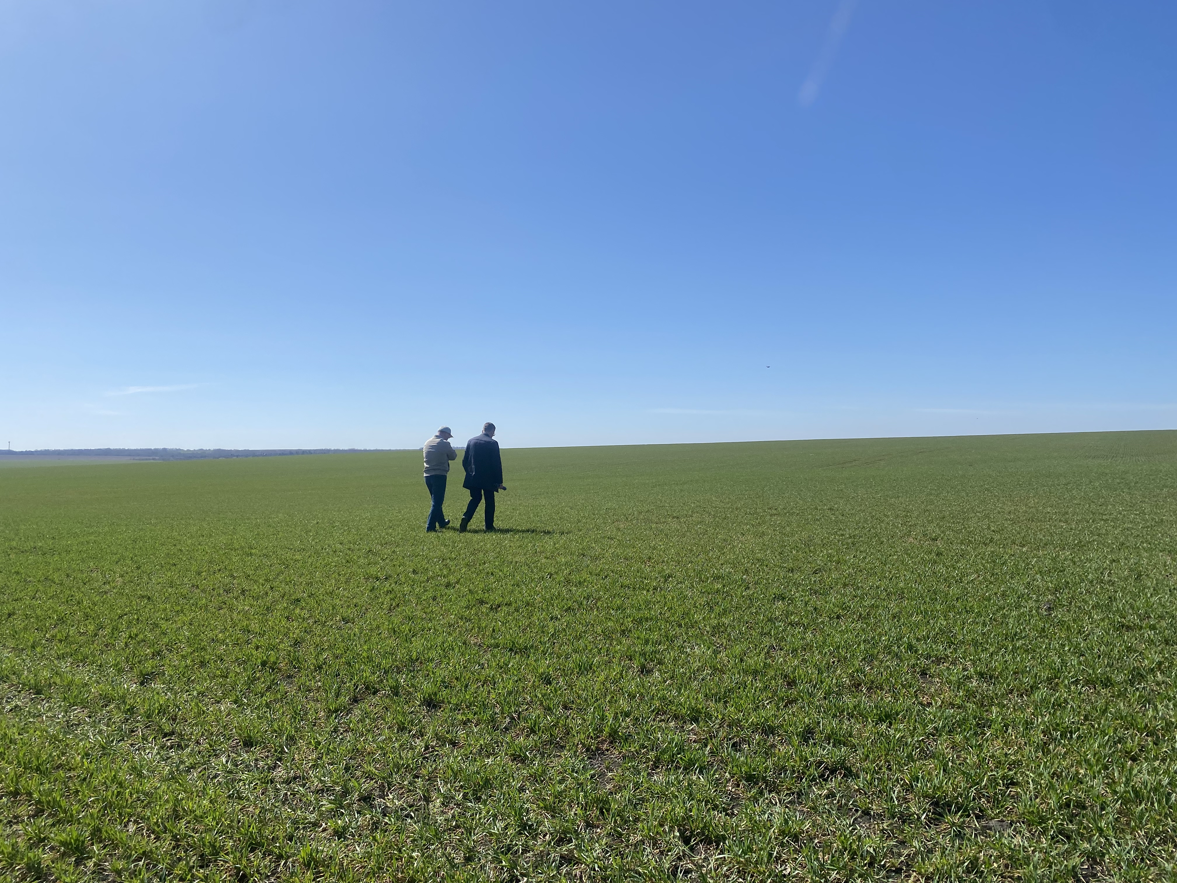 В Пензенской области будет засеяно 1,5 миллиона гектаров земли