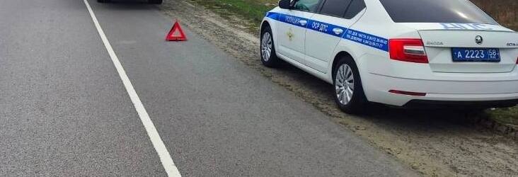 В Мокшанском районе Пензенской области водитель Газели насмерть сбил 35-летнего пешехода