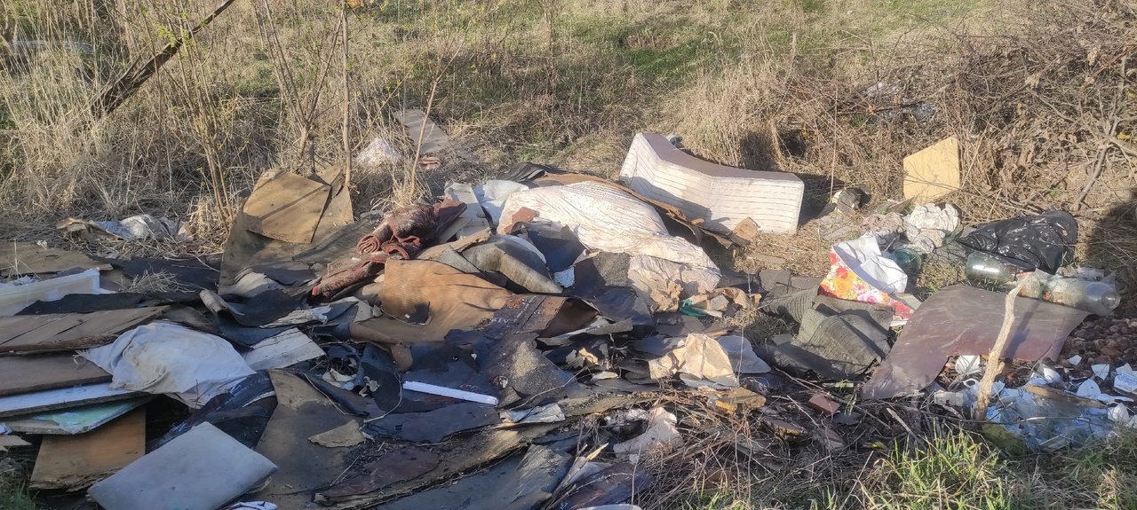 В Пензенской области с 1 мая действуют новые штрафы за мусор