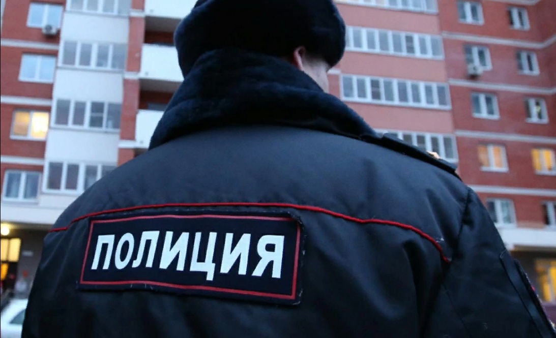 Вынесли приговор жителю Спасска, который ударил полицейского и сорвал с него погон