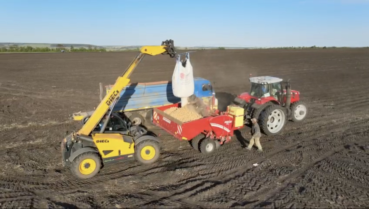 В 2023 году пензенские сельхозпредприятия высадили картофель на 2011 гектарах