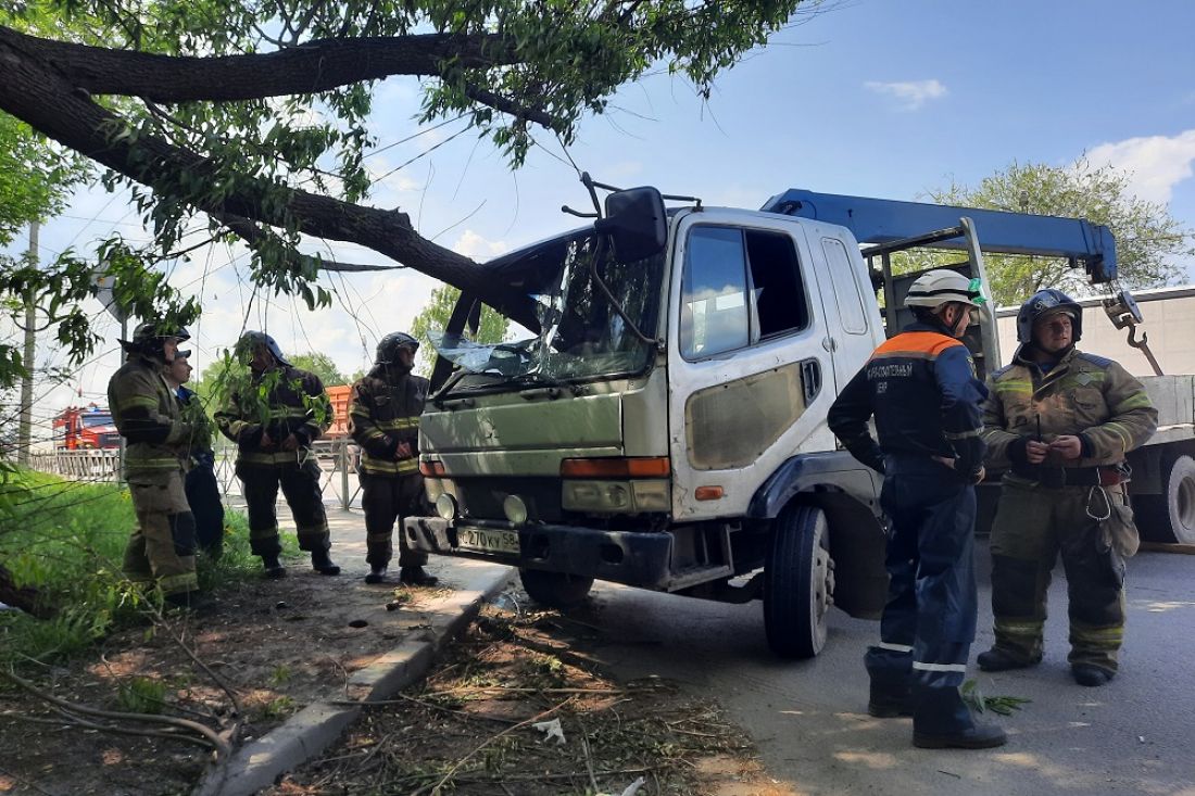 В Пензе на Ульяновской водителя большегруза убило деревом, которое пронзило лобовое стекло
