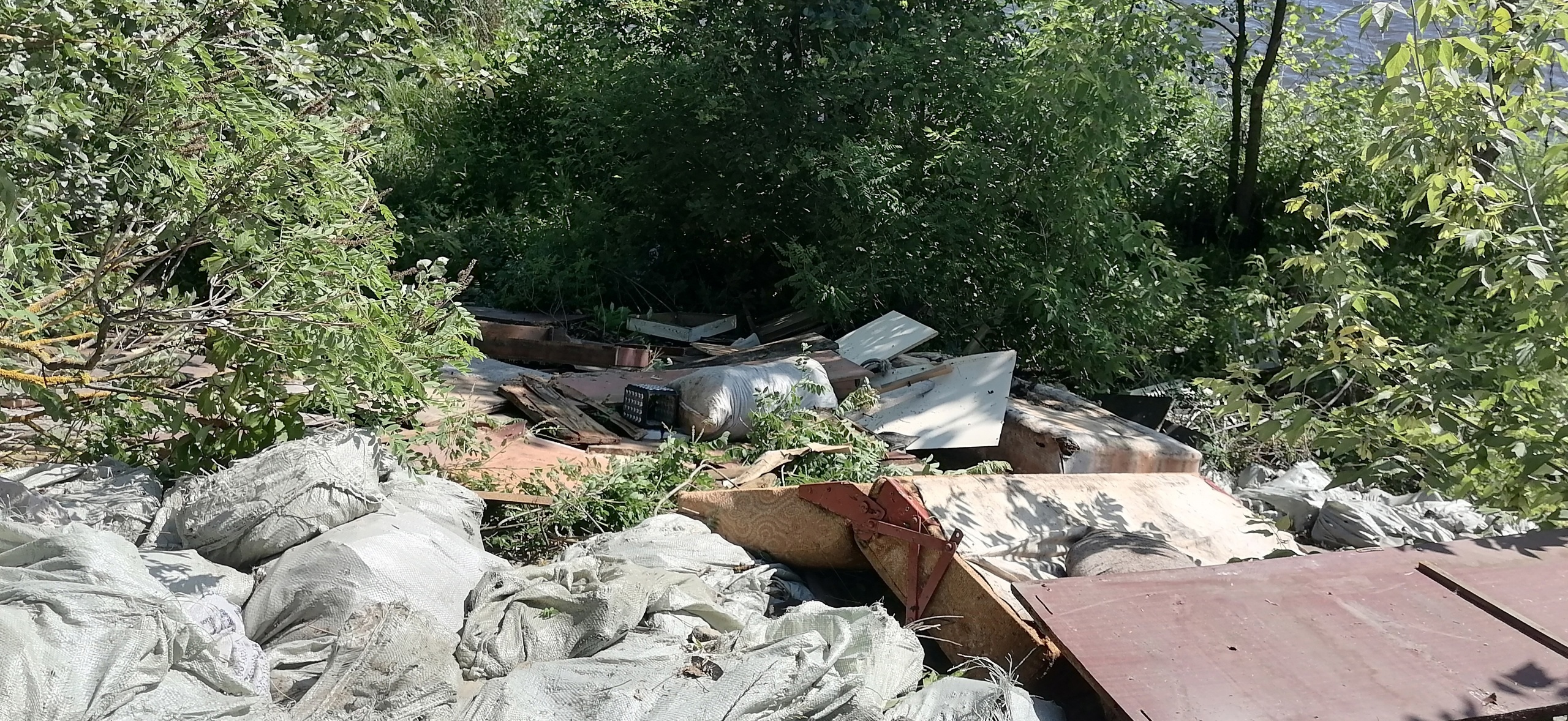 В Пензе двое молодых людей сбросили мусор вдоль берега Суры на Барковке и уехали 