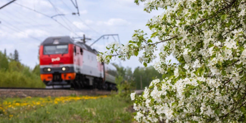 Возьмете самые дешевые — когда покупать билеты на поезд, чтобы сэкономить