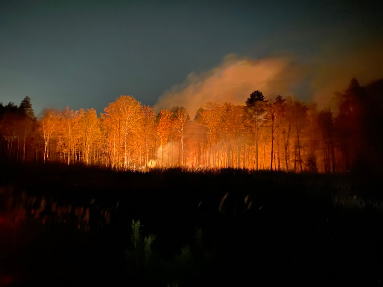 Пожарные заметили и успели потушить ночной пожар в Никольском лесничестве
