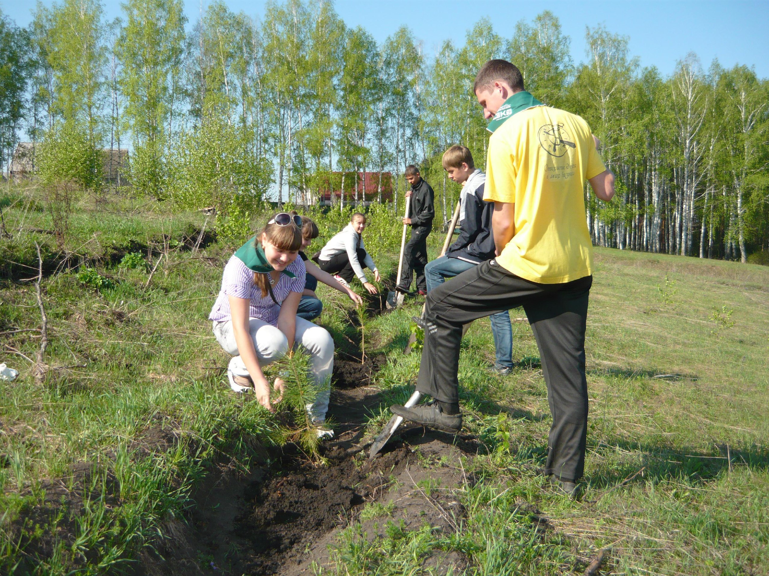 Школьники высадили 6000 сеянцев в лесах Пензенской области