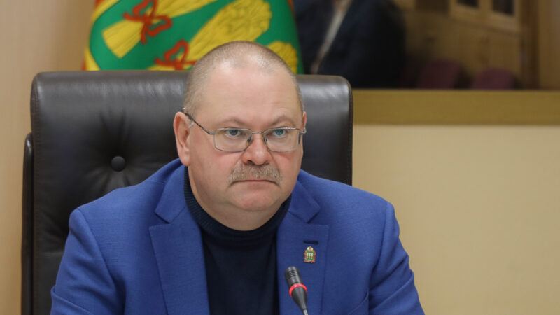 Олег Мельниченко потребовал привести в порядок пензенский участок трассы М5