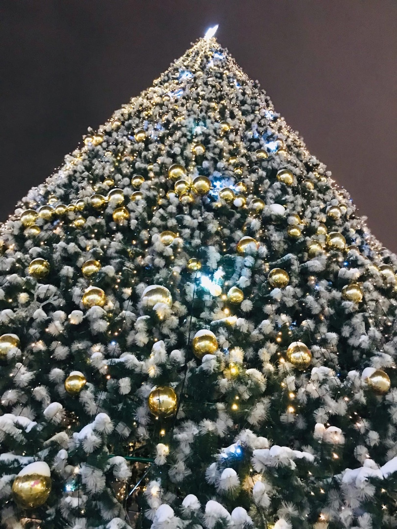 В Заречном Пензенской области определили место для главной новогодней елки