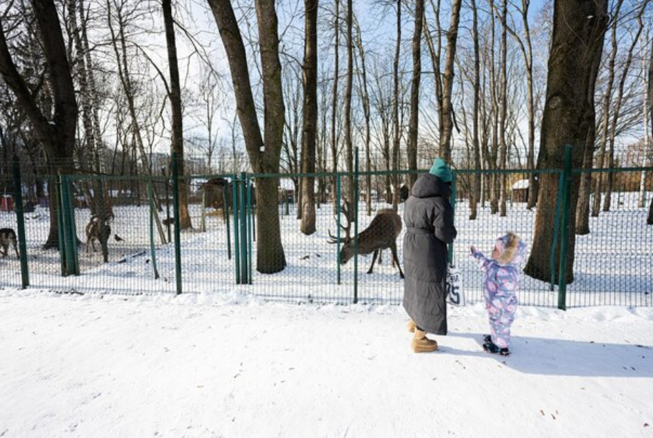 В Пензенской области ожидается аномальный мороз: похолодает до -26 градусов