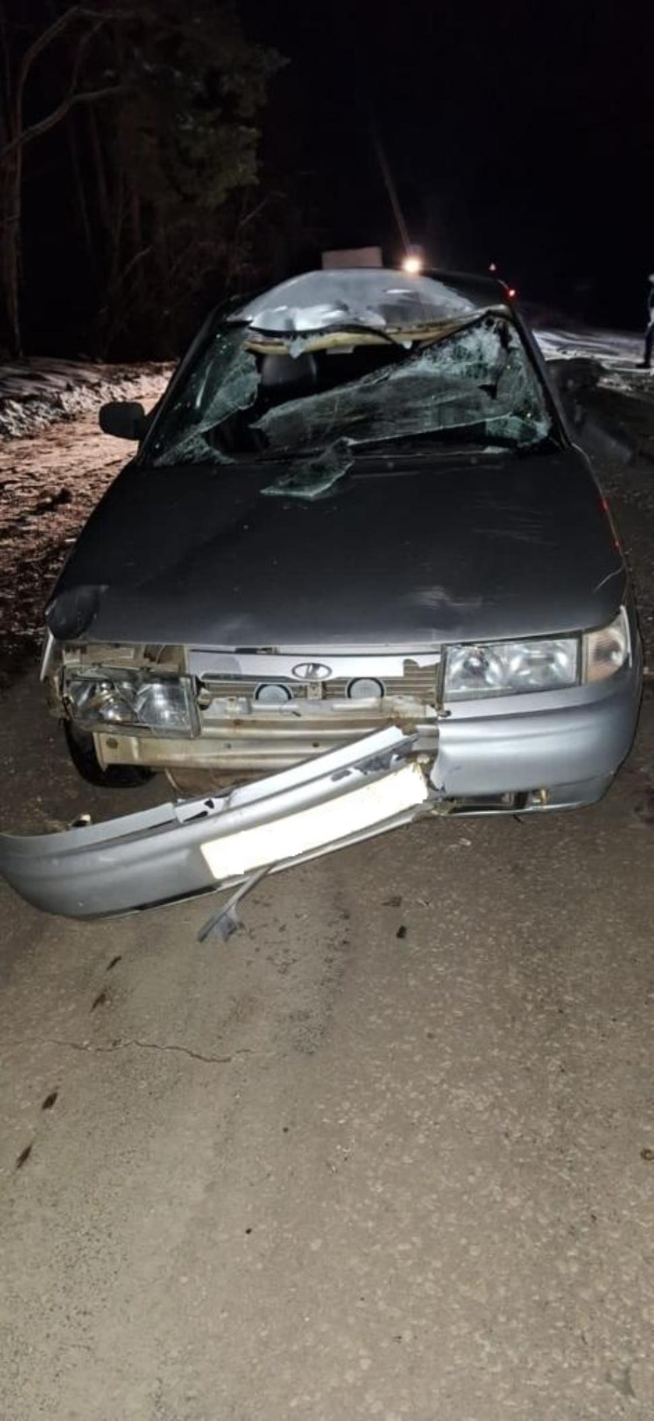 В Пензенской области лось неожиданно выбежал на дорогу и попал под колеса двух машин