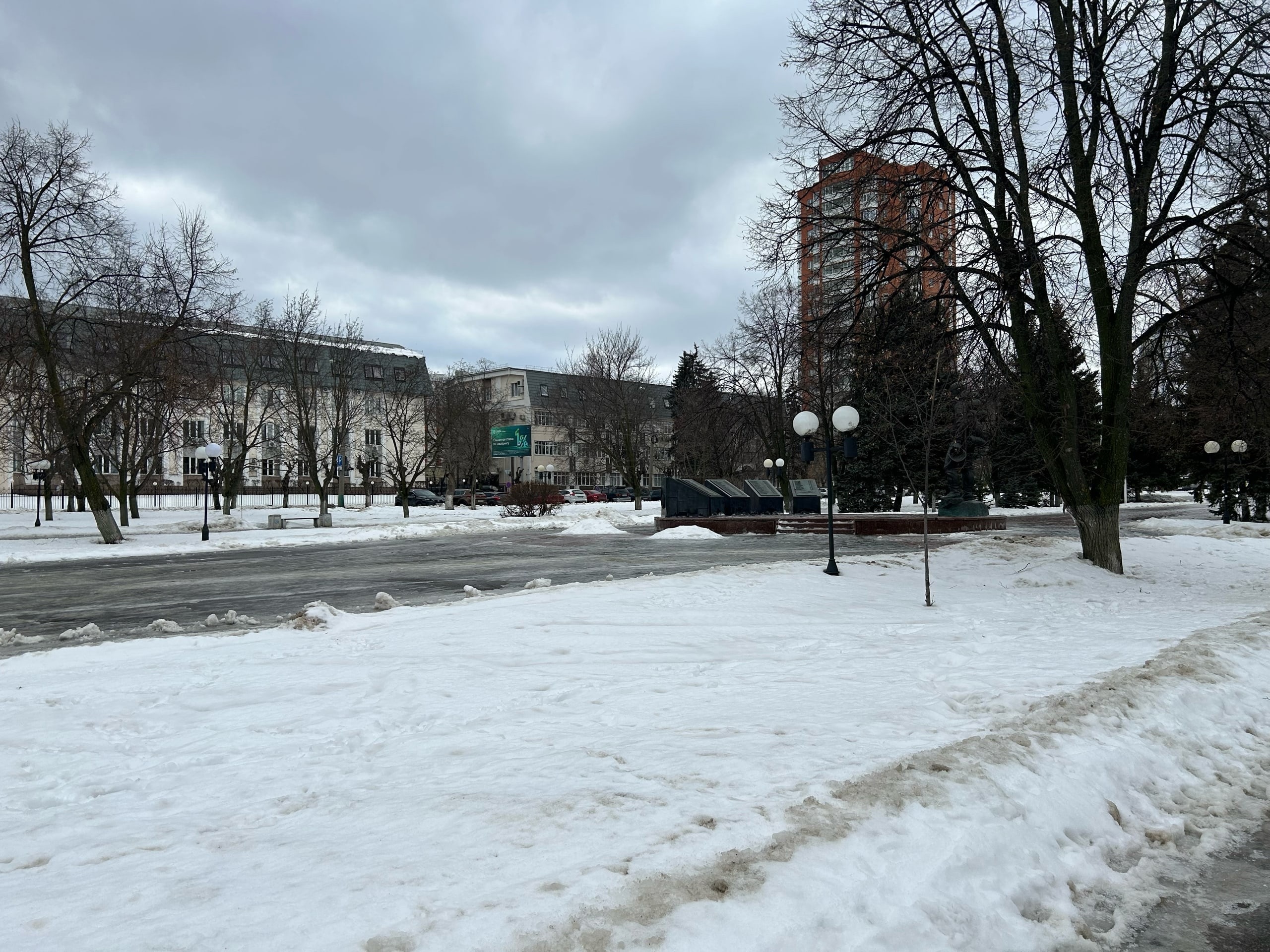 Синоптики обещают жителям Пензенской области теплую неделю со снегом