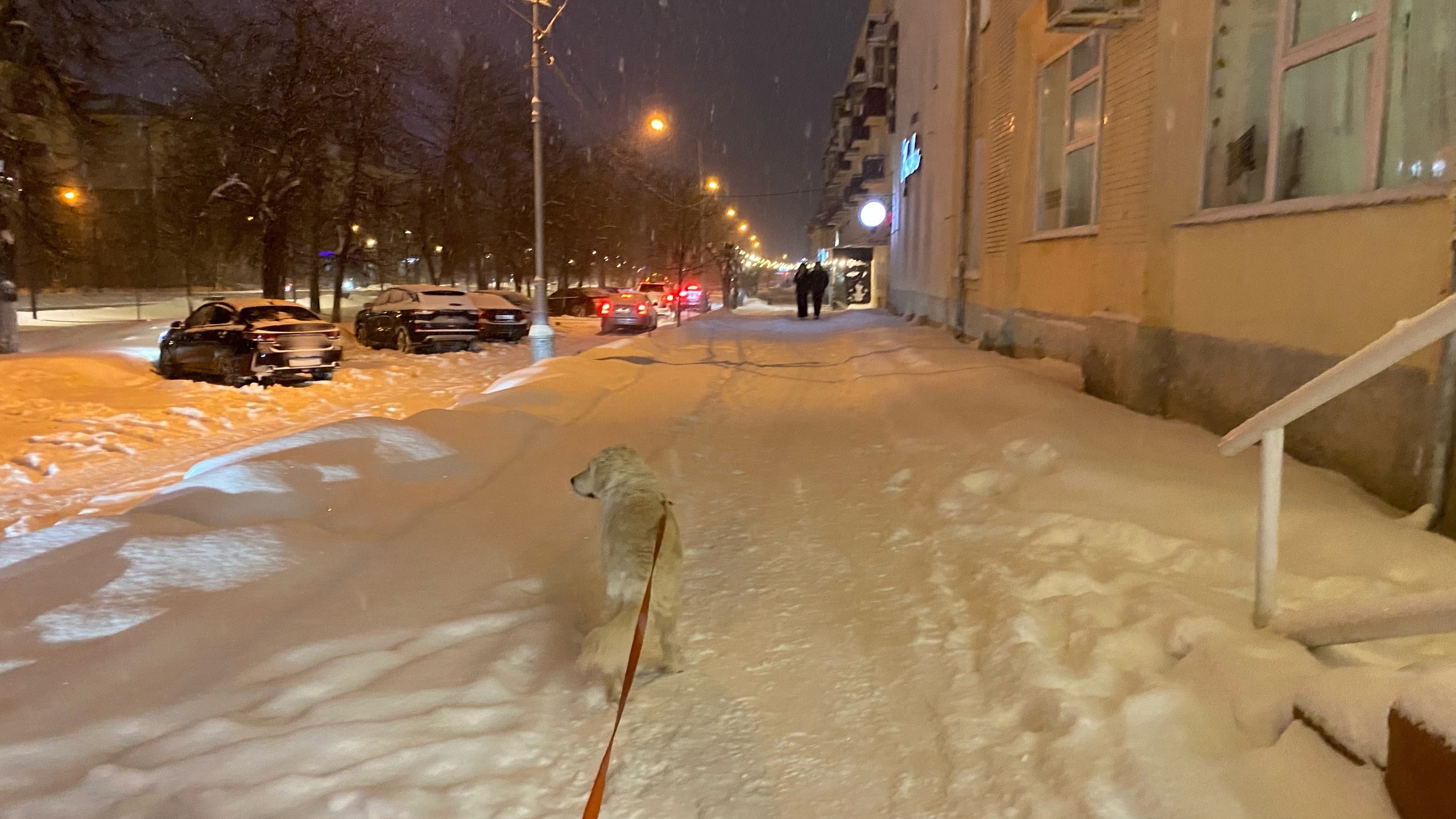 МЧС предупреждает о сильном ветре и снегопаде в Пензенской области