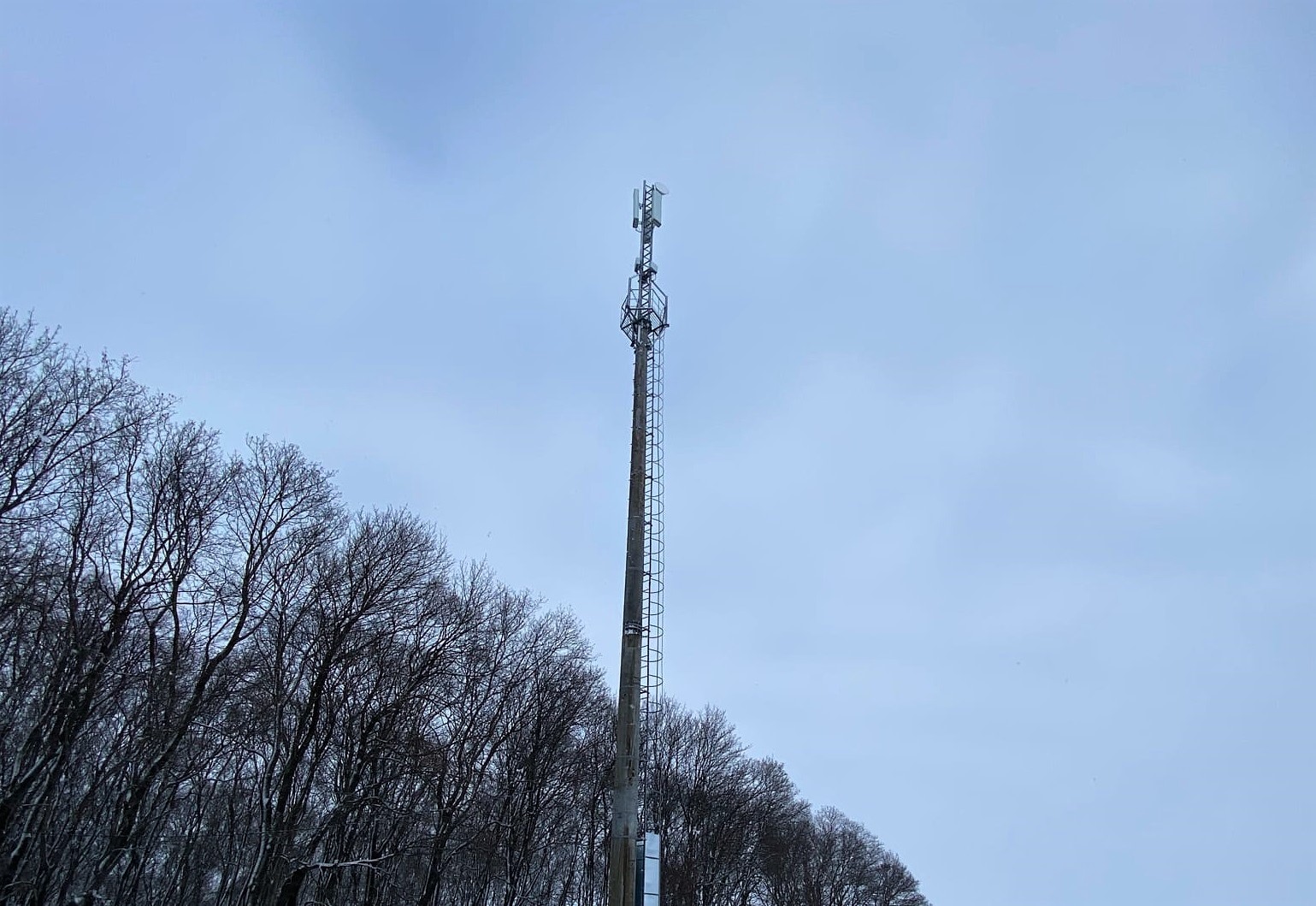 Новые объекты и модернизация: как Tele2 развивала сеть в Пензенской области в 2023 году 