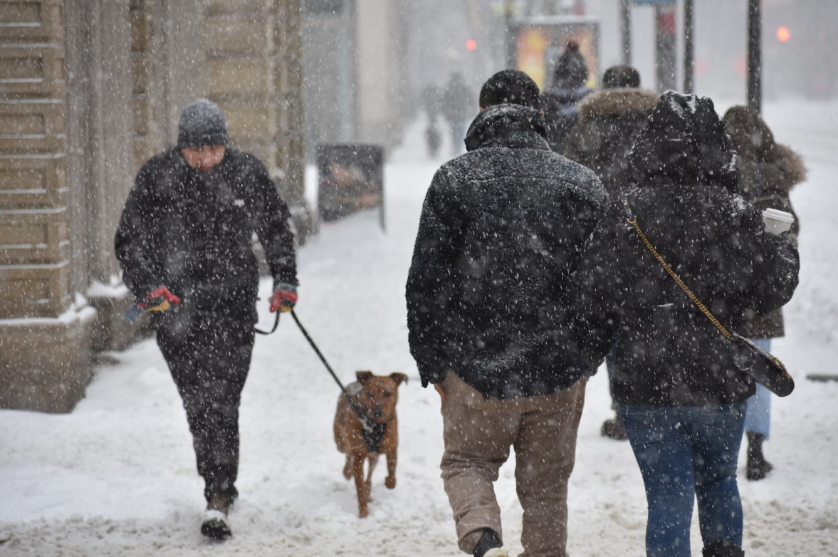 Снежный апокалипсис: Гидрометцентр предупредил о сильнейшем снегопаде, который продлится сутки 