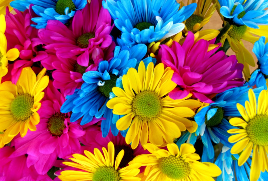  Язык цветов на 8 Марта: что означает подаренный букет 