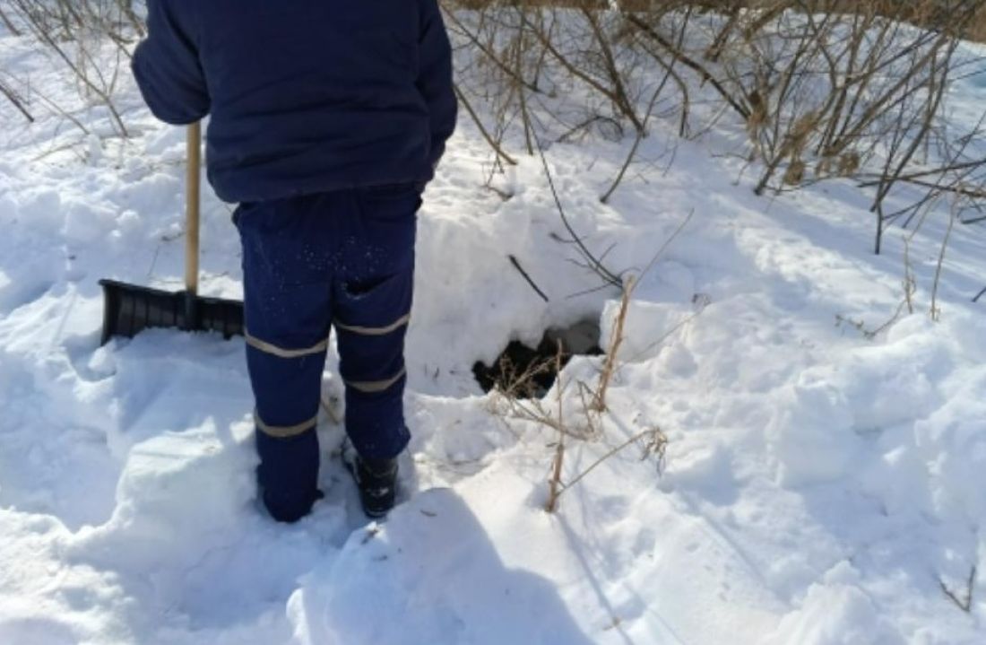 В Пензе спасатели вытащили из колодца провалившуюся собаку
