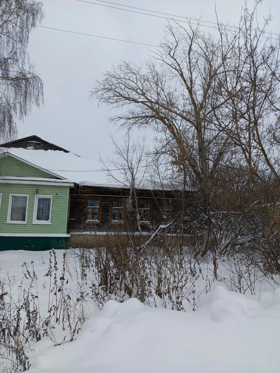 Жители Кузнецка боятся за свою жизнь из-за аварийного дерева 