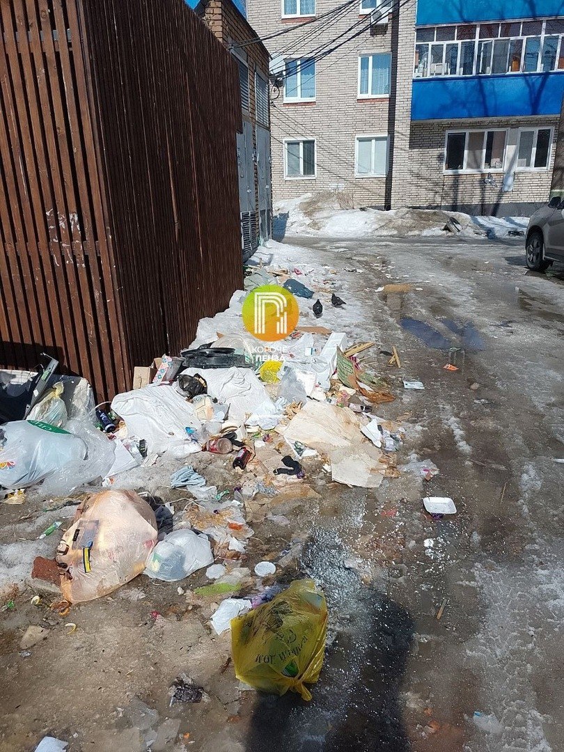 Жители Пензы жалуются на кучу мусора за детской поликлиникой №8