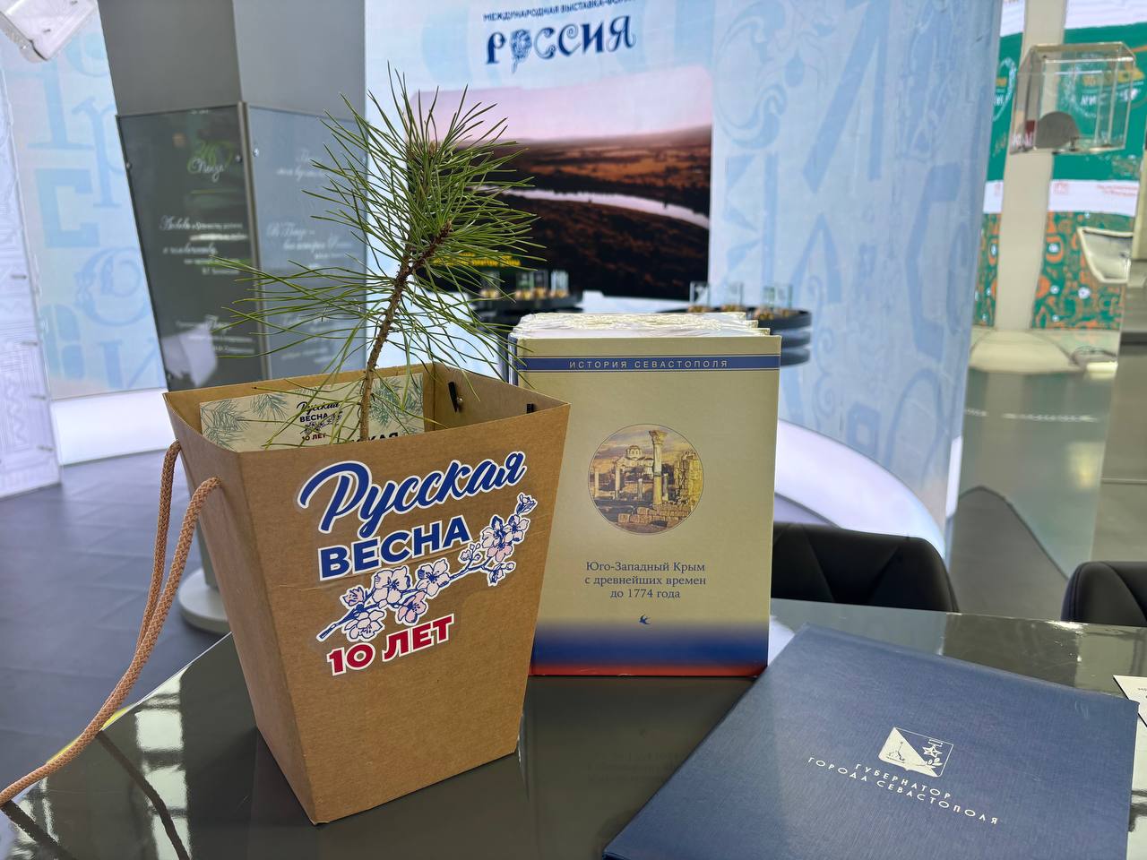 Сосну в честь 10-летия присоединения Крыма высадят на территории зоопарка Пензы