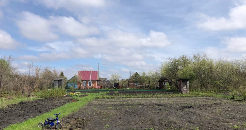 Самое популярное растение у дачников теперь запретили выращивать: новое правило для россиян