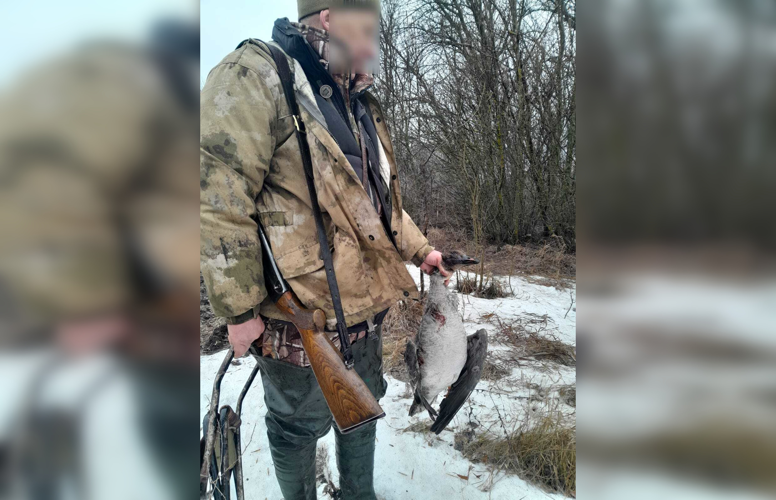 С открытия сезона открытия охоты выявлено 10 нарушений в Пензенской области 