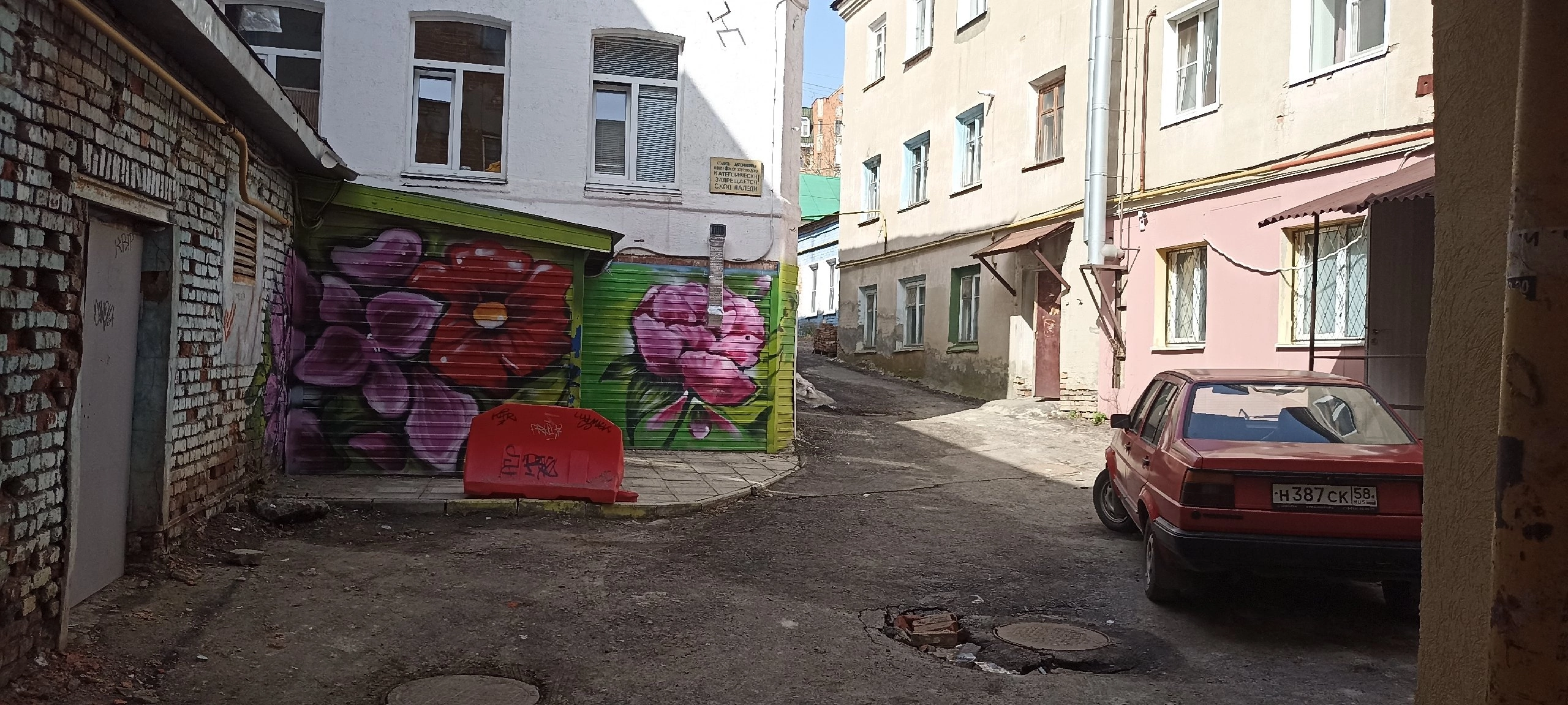 Пензенцы раскритиковали цветочное граффити на историческом доме, где жил маршал Тухачевский 