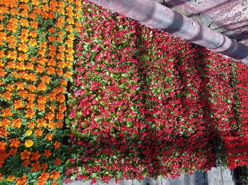 В Пензу прибыла первая партия цветов для украшения города 