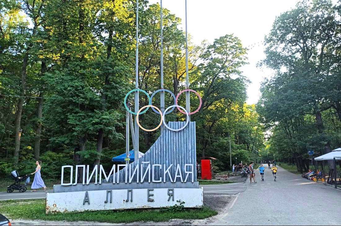 В Пензе 28 мая закроют Олимпийскую аллею на обработку от клещей 