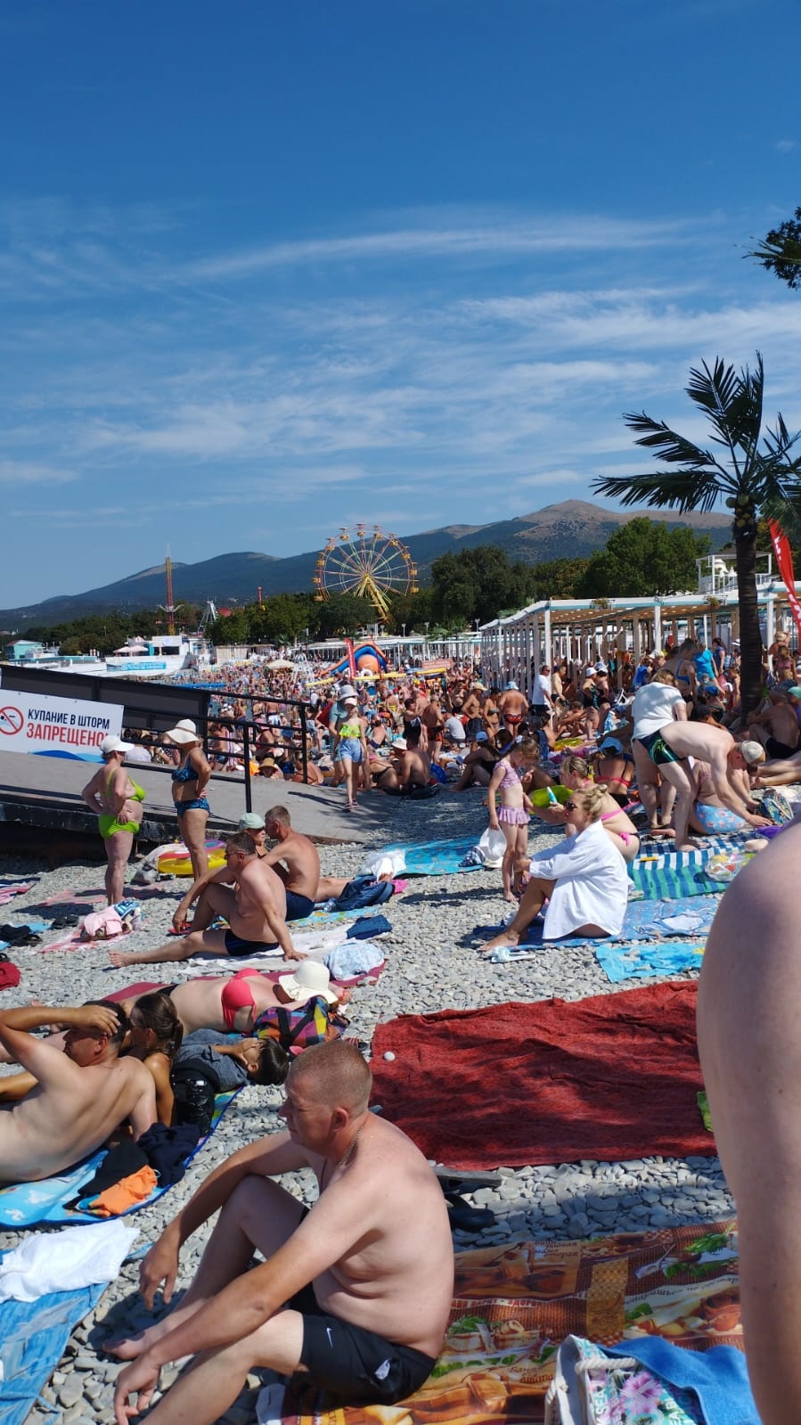 "Зря потратили деньги, в воду не пускают": на пляжах Анапы ввели полный запрет на купание в Черном море
