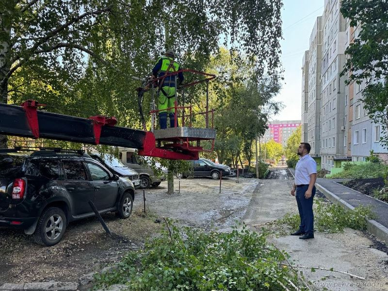 Более 100 деревьев привели в порядок вблизи МКД за 2024 год 