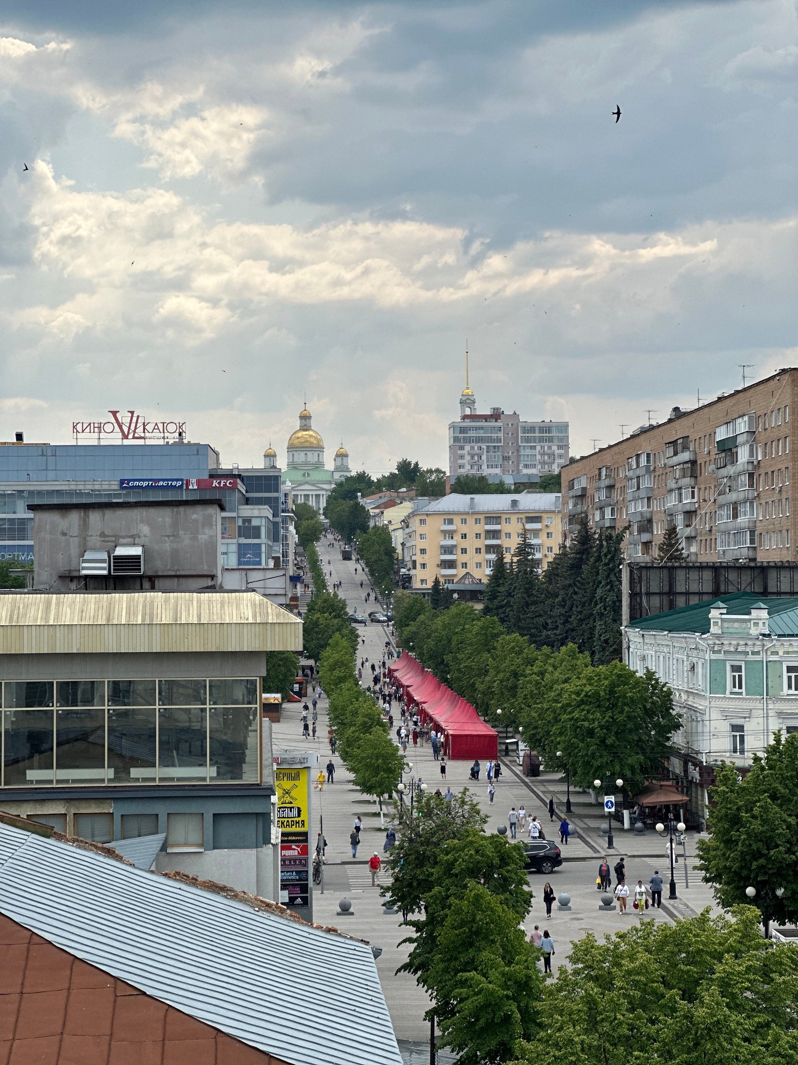 За возгорание на полигоне ТКО пензенскому МУПу объявили предостережение