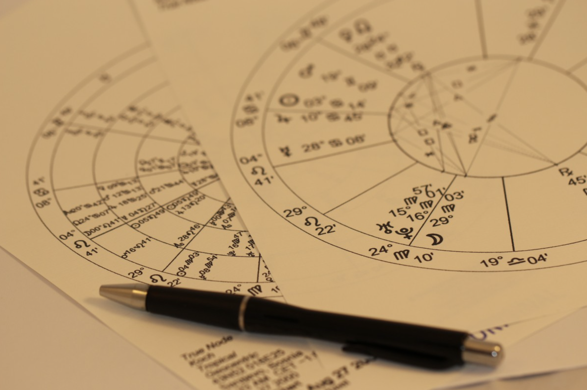 Венера указала им золотую дорогу: в последние 10 дней ноября три знака Зодиака ждет сенсационная удача