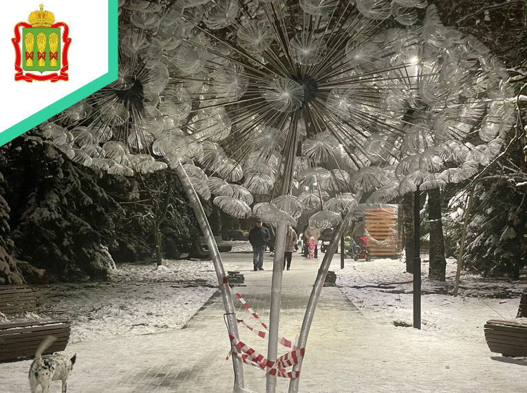 В Сердобске в начале декабря расцвели светящиеся одуванчики