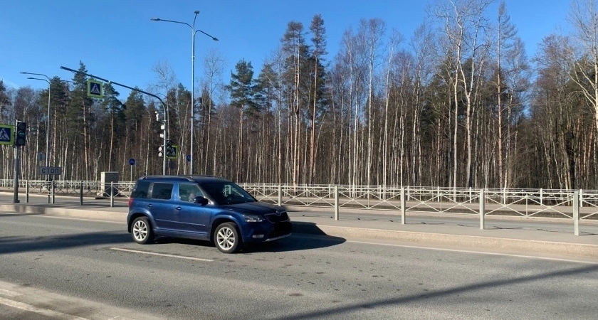 В Пензенской области четыре человека попали в больницу в результате ДТП