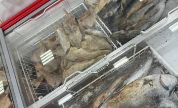 Магазин «Светофор»: отзывы о покупках, плюсы и минусы сети 